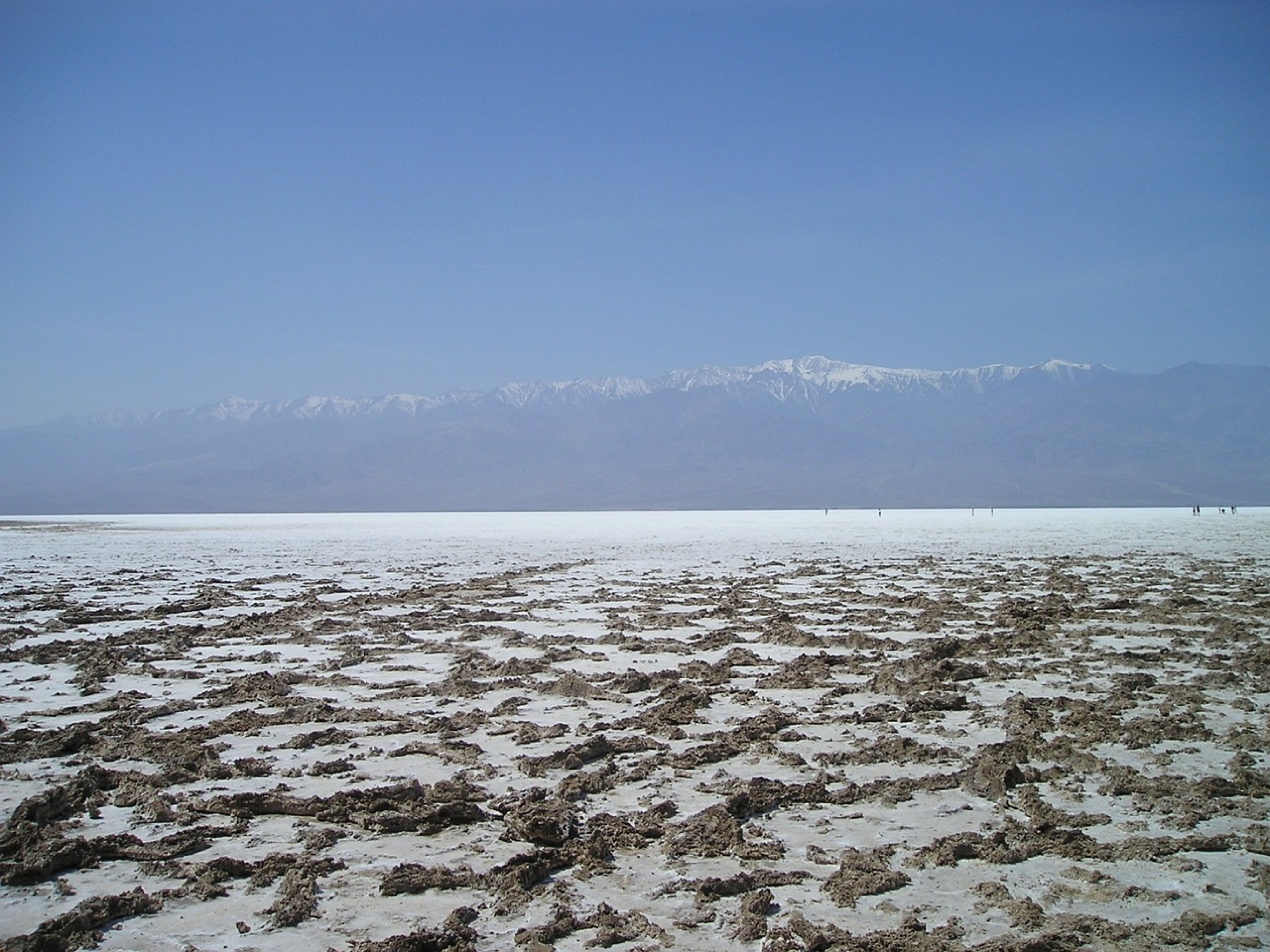 Saline environment