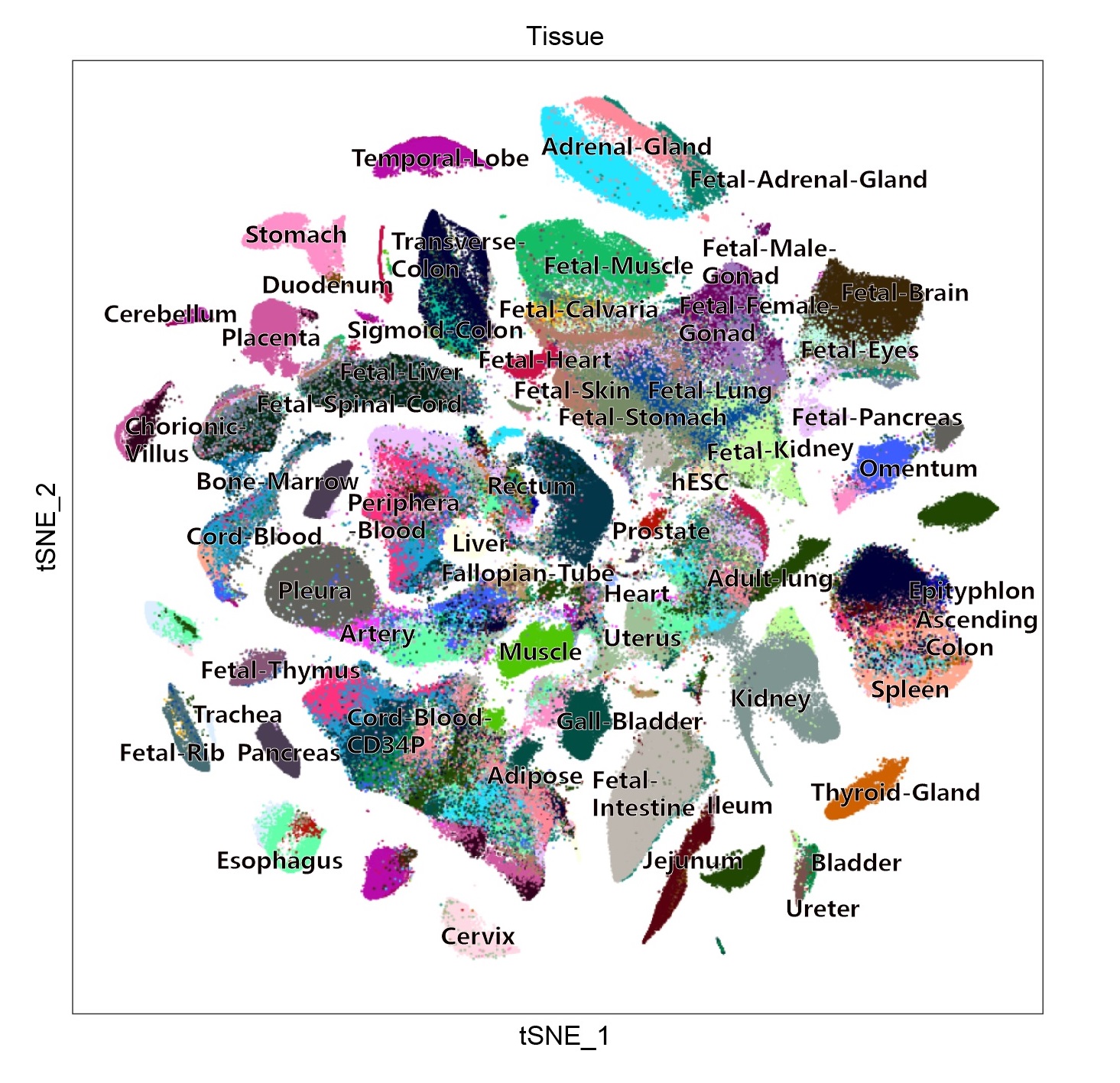 HCL: Human Cell landscape