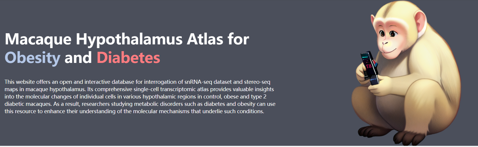 Macaque Hypothalamus Atlas for Obesity and Diabetes