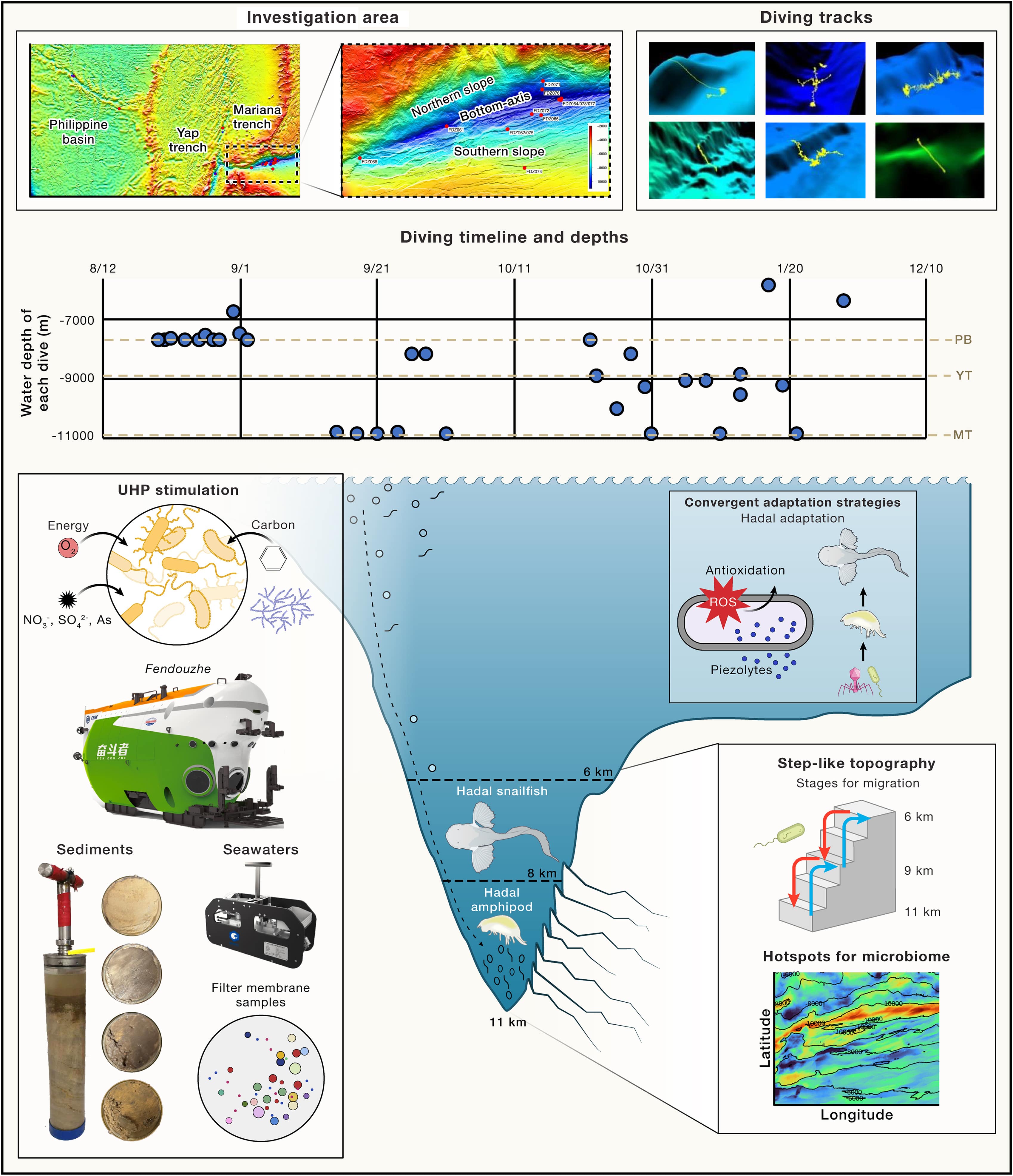 MEER: Extraordinary flourishing ecosystem in the deepest ocean