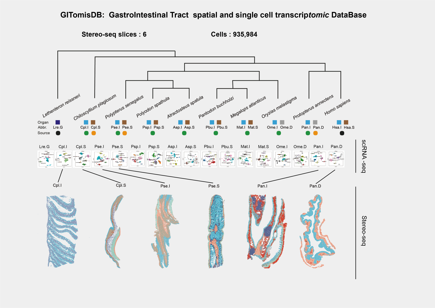 GITomicsDB